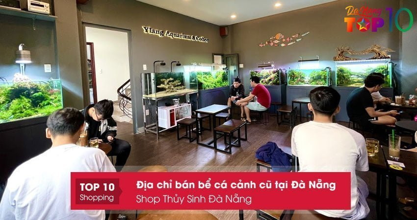Những mẫu bể cá cảnh cũ chất lượng cao ở Ylang Aquarium