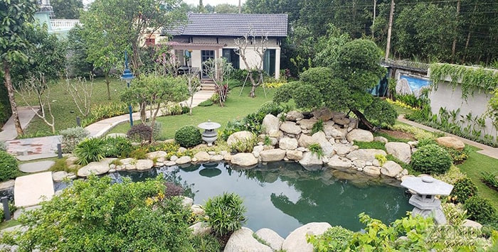 Thi công phần thô cho hồ cá cảnh mini ngoài trời