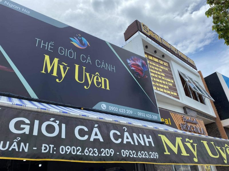 Thiết kế biển quảng cáo cá cảnh ấn tượng