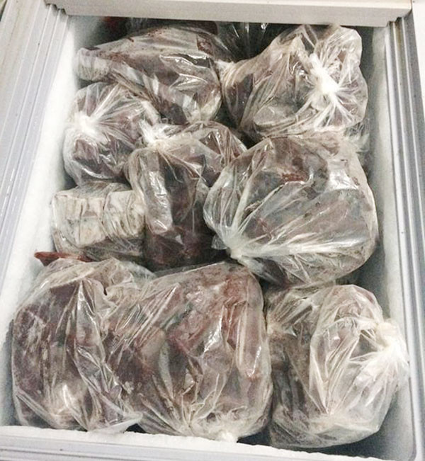 Thịt bò xay cho cá la hán phát triển gù đầu