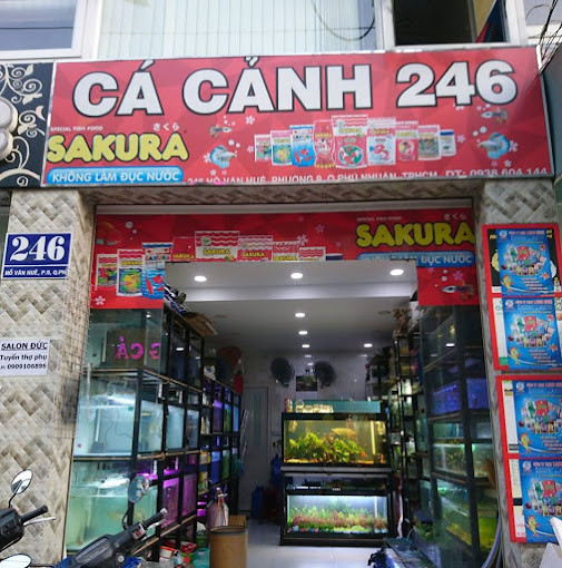 Tiệm cá cảnh 246 Hồ Văn Huê
