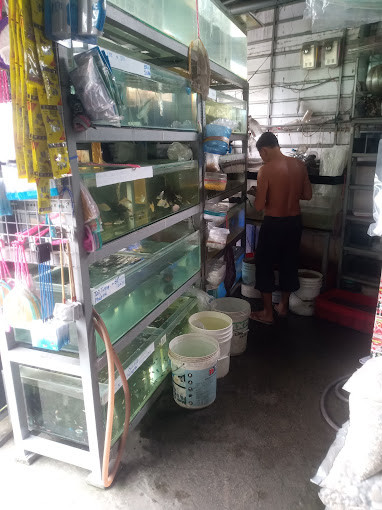 Tiệm cá cảnh Hồng Thiên