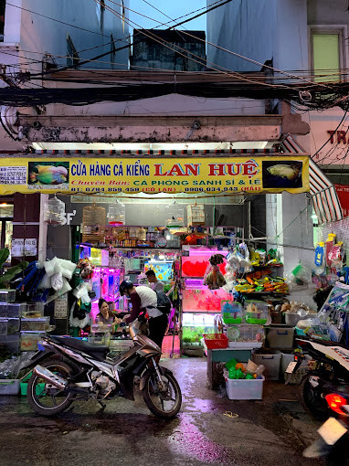 Tiệm cá cảnh Lan Huệ