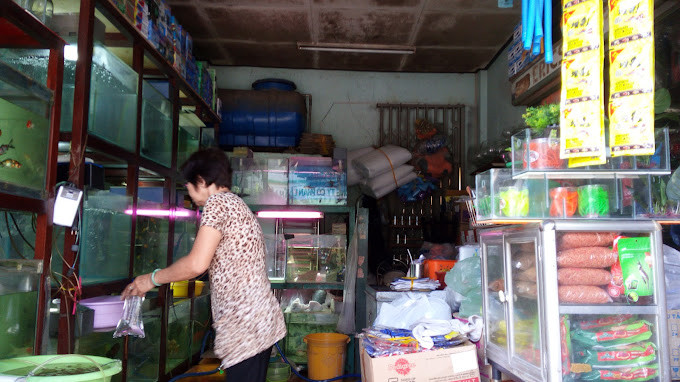 Tiệm cá kiểng Tâm Phát