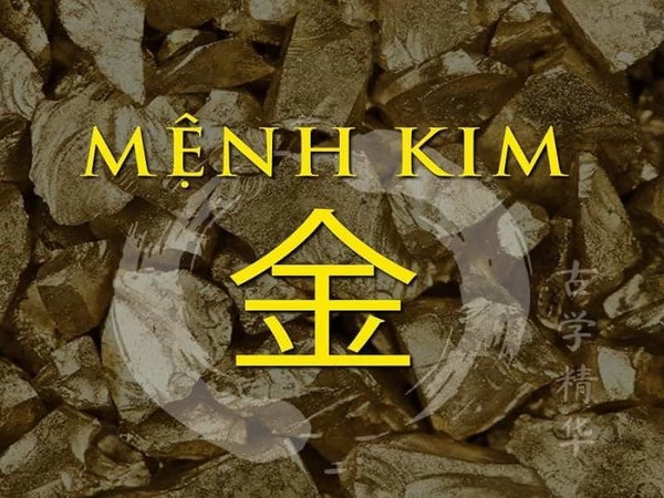 Tính cách người mệnh Kim và cá cảnh phù hợp