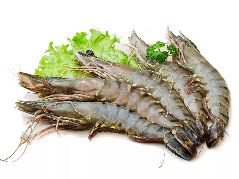 Tôm tươi, nguồn astaxanthin phong phú, là thức ăn cá la hán hiệu quả cho màu đỏ cam rực rỡ.