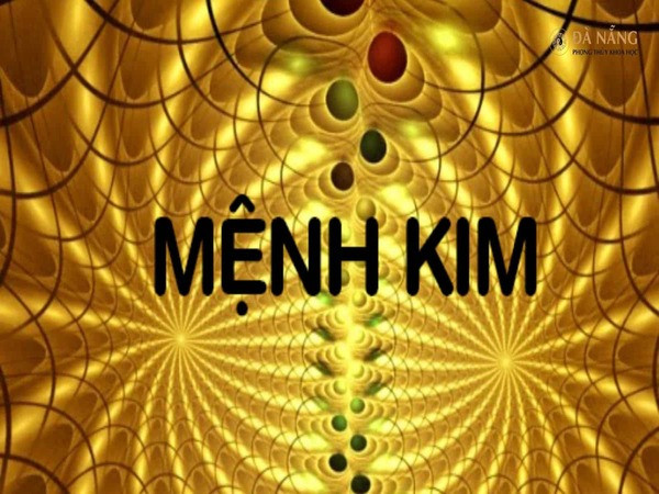 Tổng quan về người mệnh Kim và việc nuôi cá cảnh