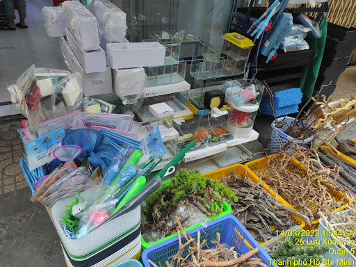 Vật liệu trang trí hồ cá cảnh tại cửa hàng cá cảnh Quận 5