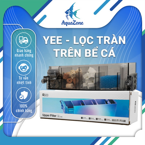 Khám Phá Hệ Thống Lọc Bể Cá Cảnh Mini Hiệu Quả Nhất Cho Người Mới Khám Phá Hệ Thống Lọc Bể Cá Cảnh Mini Hiệu Quả Nhất Cho Người Mới