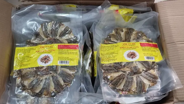 Khám phá cá chỉ vàng: Đặc điểm và hình ảnh chân thực
