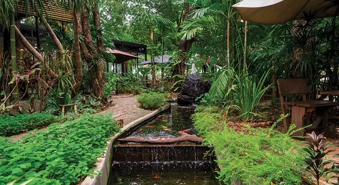 Hướng Dẫn Toàn Diện Để Sở Hữu Ao Cá Trong Vườn Đẹp Chuẩn Chuyên Gia