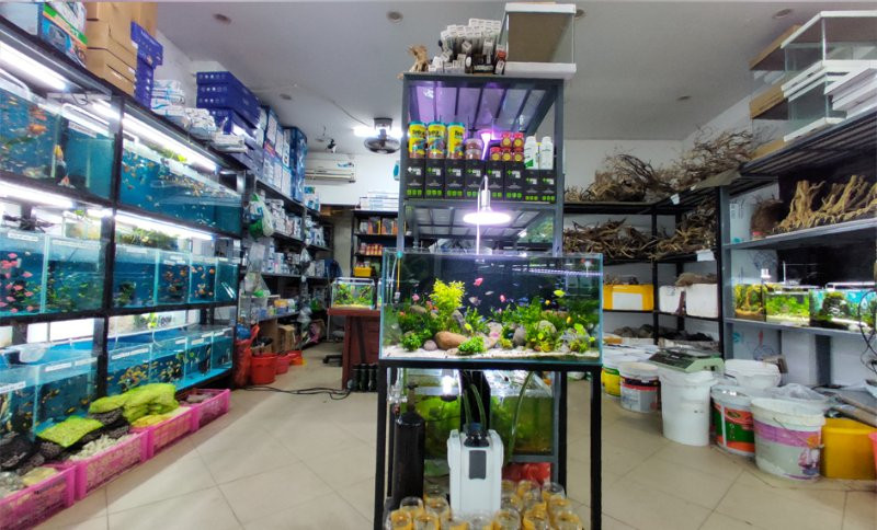 Aqua Linh Đàm, cửa hàng cá cảnh chuyên nghiệp