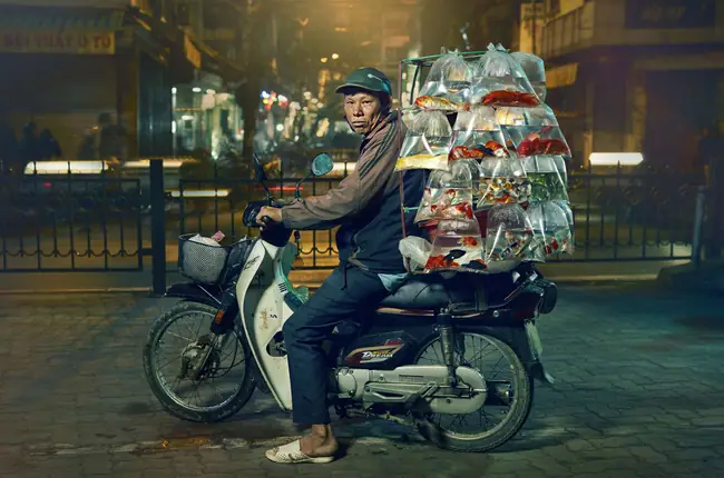 Hướng Dẫn Mua Cá Lia Thia Đẹp, Khỏe Mạnh & Nguồn Cung Uy Tín Hướng Dẫn Mua Cá Lia Thia Đẹp, Khỏe Mạnh & Nguồn Cung Uy Tín