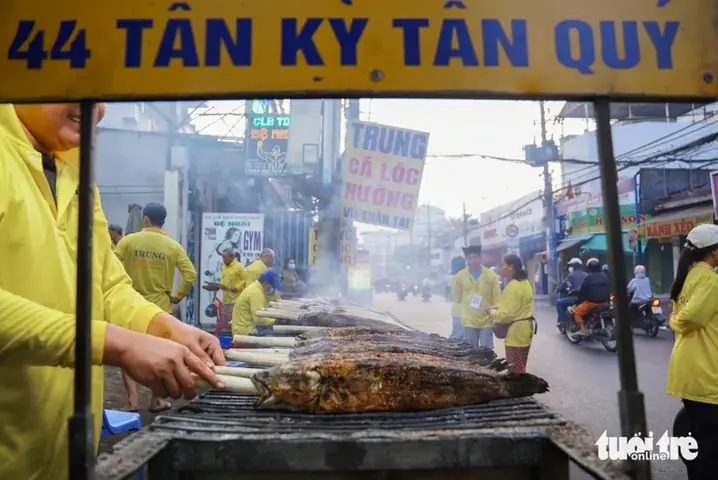 Cá Thần Tài: Kinh Nghiệm Mua & Nuôi Khỏe Mạnh, Đón Tài Lộc