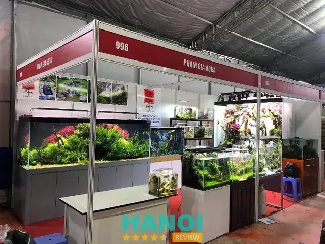 Tìm Mua Chân Hồ Cá Cũ: Những Điều Cần Biết
