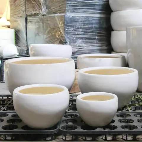 Hướng dẫn chọn mua chậu nuôi cá cảnh phù hợp và chất lượng Hướng dẫn chọn mua chậu nuôi cá cảnh phù hợp và chất lượng