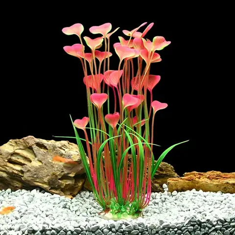 Hướng Dẫn Chi Tiết Cách Chọn Mua Đồ Trang Trí Bể Cá An Toàn Và Bền Đẹp