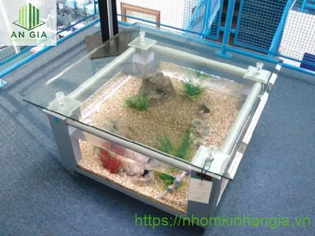 Bàn Kính Bể Cá: Khám Phá Từ Cấu Tạo Đến Phong Cách Trang Trí