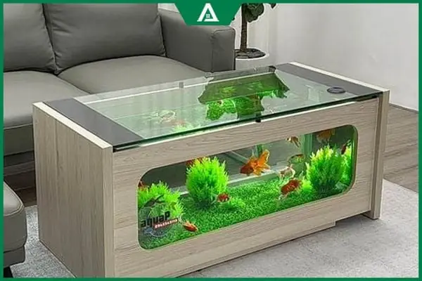 Bàn Trà Kèm Bể Cá: Hướng Dẫn Chọn Và Bố Trí Hoàn Hảo