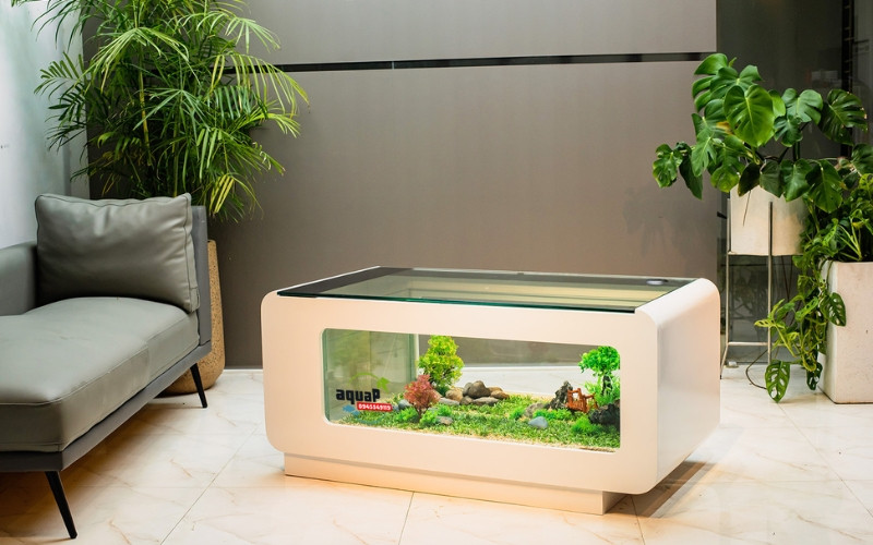 bàn trà tích hợp bể cá cảnh hiện đại tại Đà Nẵng
