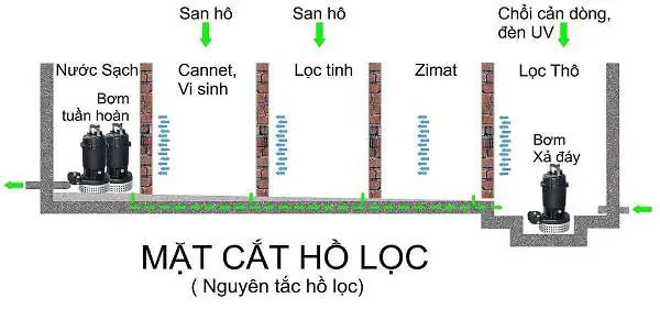 bản vẽ hệ thống lọc hồ cá koi