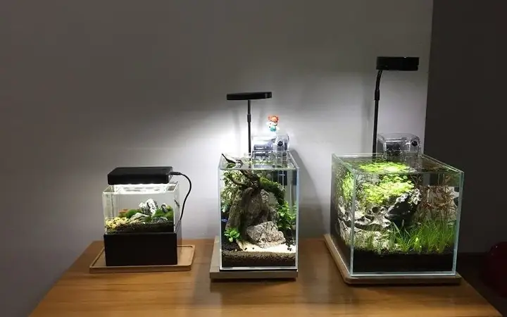 Bảng Giá Bể Cá Cảnh Chi Tiết Nhất: Yếu Tố & Cách Chọn Phù Hợp Bảng Giá Bể Cá Cảnh Chi Tiết Nhất: Yếu Tố & Cách Chọn Phù Hợp