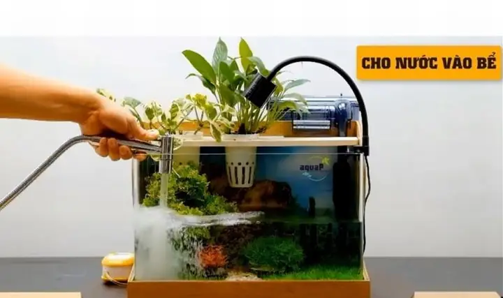 Bảng Giá Bể Cá Cảnh Chi Tiết Nhất: Yếu Tố & Cách Chọn Phù Hợp Bảng Giá Bể Cá Cảnh Chi Tiết Nhất: Yếu Tố & Cách Chọn Phù Hợp