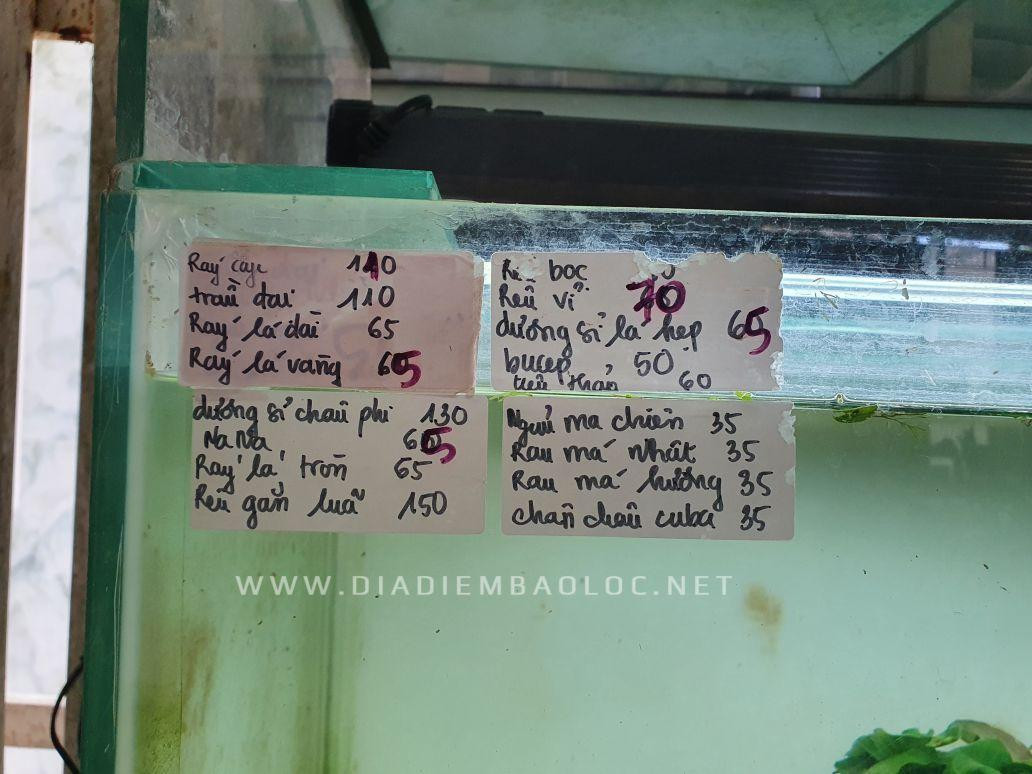 Bảng giá tham khảo cây thủy sinh tại các tiệm cá cảnh, giúp bạn chọn điểm bán cá cảnh gần đây