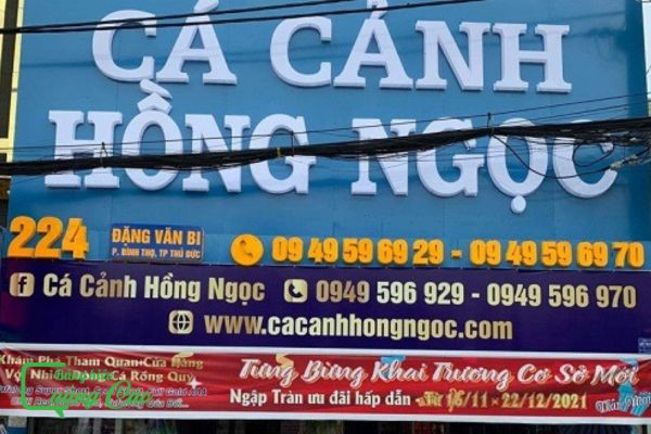 Bảng hiệu alu chữ nổi mica tại cửa hàng cá cảnh Hồng Ngọc, bền đẹp và hiện đại