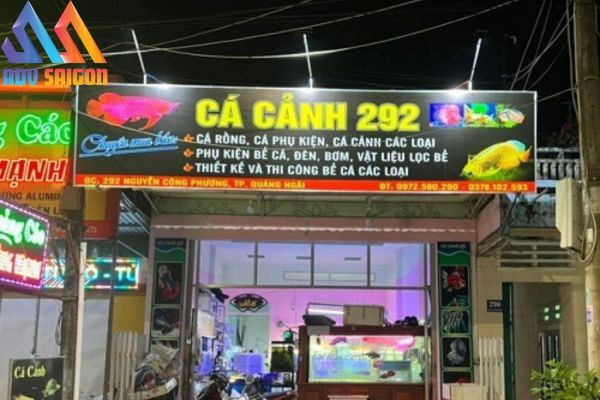 Bảng hiệu cá cảnh 292