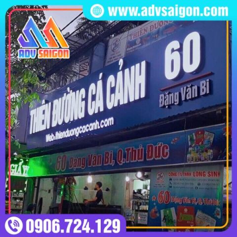 Bảng hiệu cá cảnh thu hút