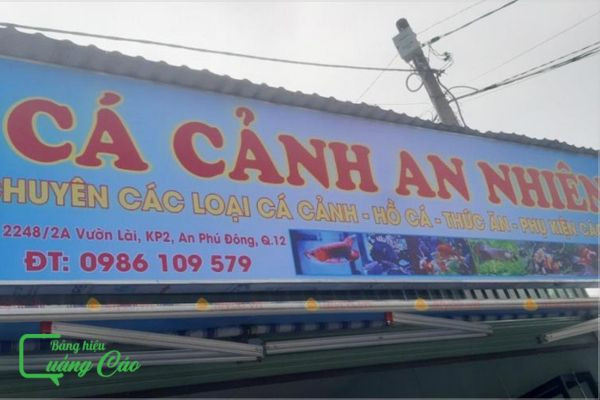 Bảng hiệu cửa hàng cá cảnh An Nhiên thiết kế đơn giản nhưng hiệu quả, dễ đọc