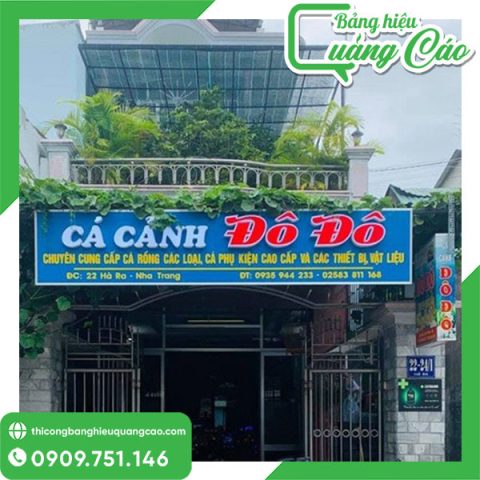 Bảng hiệu cửa hàng cá cảnh đẹp, thiết kế hiện đại và thu hút khách hàng