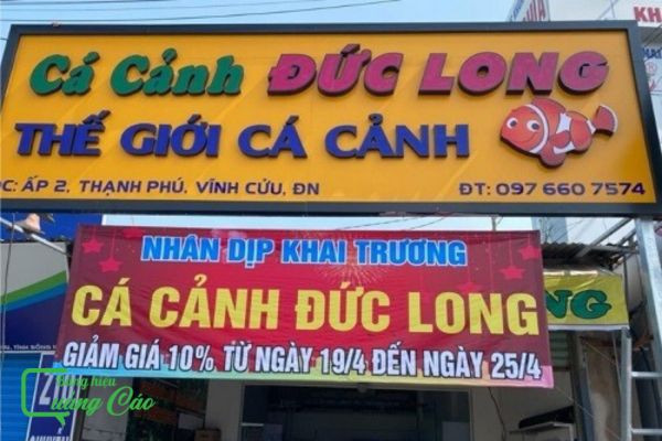 Bảng hiệu cửa hàng cá cảnh Đức Long nổi bật với chữ nổi, tạo ấn tượng chuyên nghiệp
