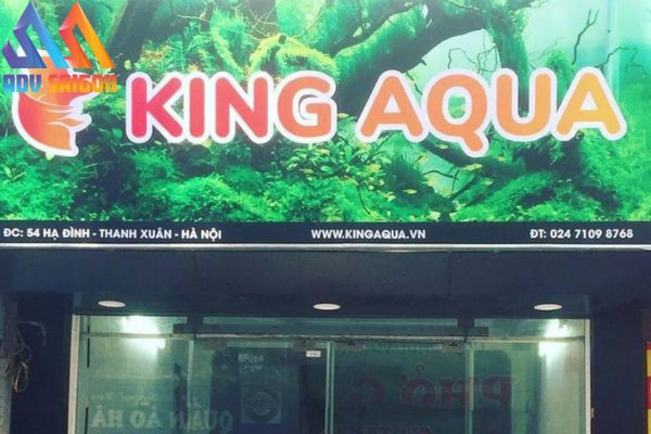 Bảng hiệu cửa hàng cá cảnh với tên thương hiệu nổi bật và hình ảnh bắt mắt