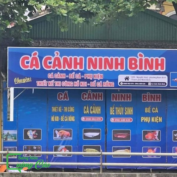 Bảng hiệu tiệm cá cảnh Ninh Bình với thiết kế bảng giá dịch vụ rõ ràng