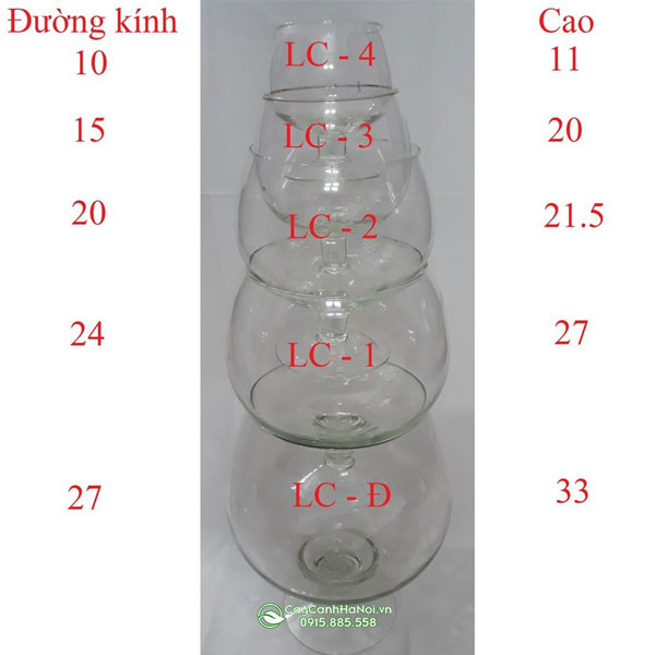 Bảng minh họa các kích thước ly nuôi cá cảnh dáng cao khác nhau.