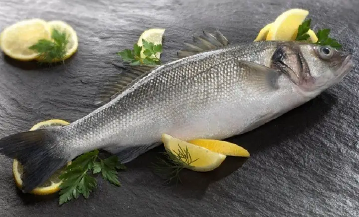Barramundi Là Cá Gì? Đặc Điểm, Môi Trường Sống Và Giá Trị