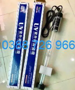 Hướng Dẫn Tối Ưu Thời Gian Bật Đèn UV Cho Bể Cá Cảnh
