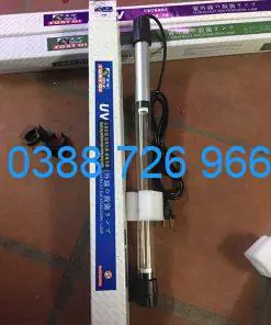 Hướng Dẫn Tối Ưu Thời Gian Bật Đèn UV Cho Bể Cá Cảnh