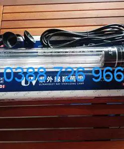 Hướng Dẫn Tối Ưu Thời Gian Bật Đèn UV Cho Bể Cá Cảnh
