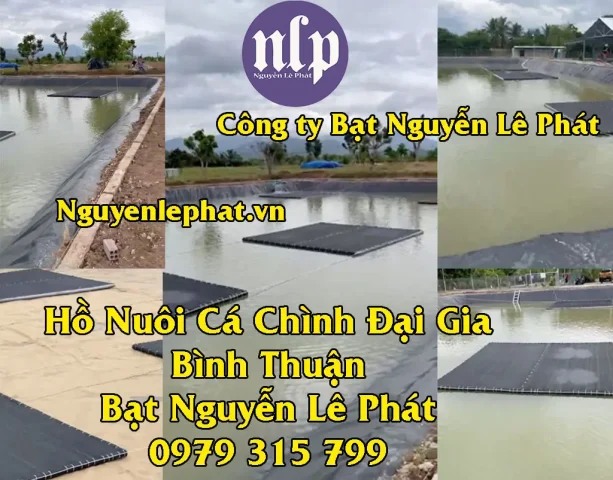 bạt lót hồ cá