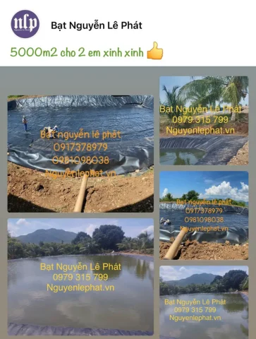 bạt lót hồ cá