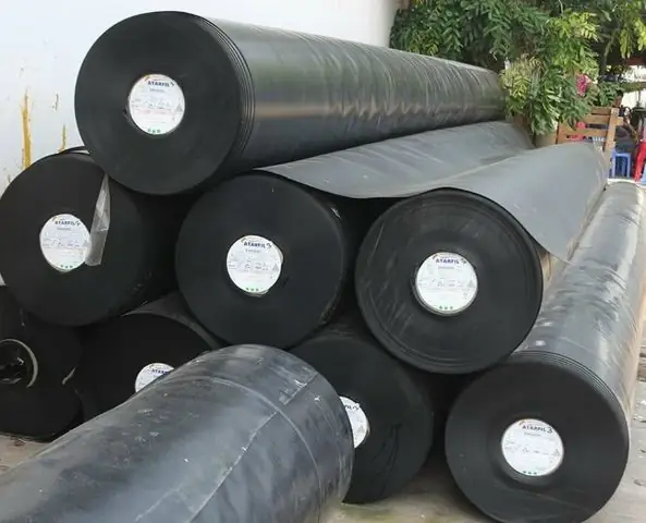 Hướng Dẫn Chi Tiết Lựa Chọn Bạt Lót Hồ Cá Bình Dương Hiệu Quả