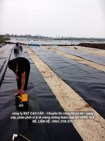 Hướng Dẫn Chi Tiết Lựa Chọn Bạt Lót Hồ Cá Bình Dương Hiệu Quả