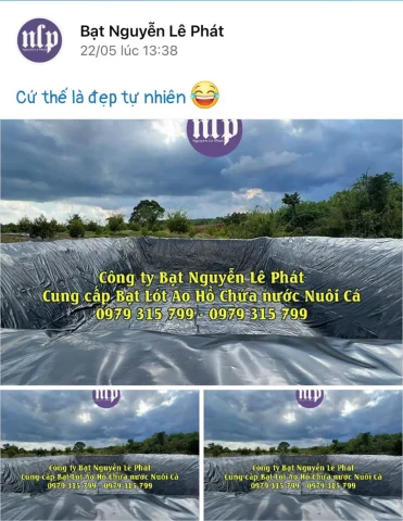 bạt lót hồ cá
