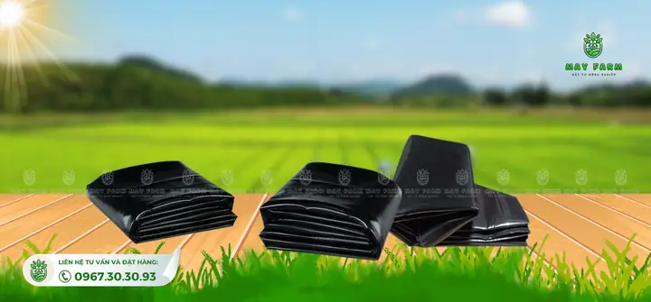 Khám Phá Bạt Lót Hồ Cá HDPE: Ưu Điểm, Ứng Dụng & Cách Thi Công