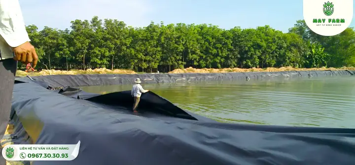 Khám Phá Bạt Lót Hồ Cá HDPE: Ưu Điểm, Ứng Dụng & Cách Thi Công