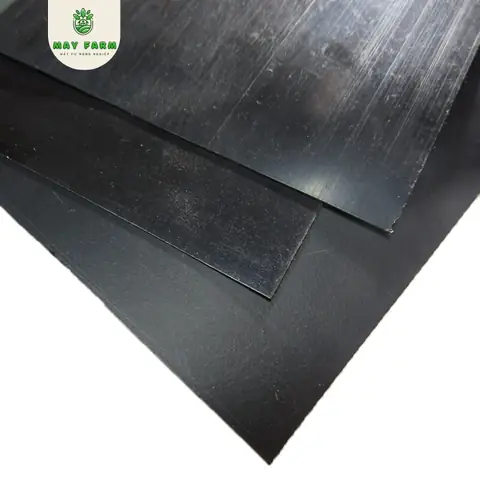 bể bạt nuôi cá