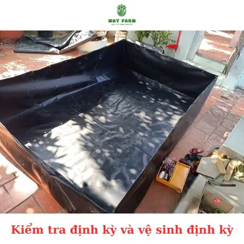 bể bạt nuôi cá